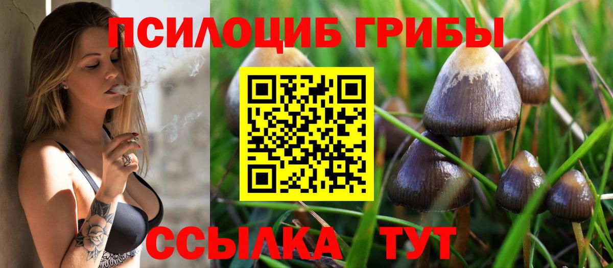 Выборг  Галлюциногенные грибы Cubensis  где продают   Вход с VPN 