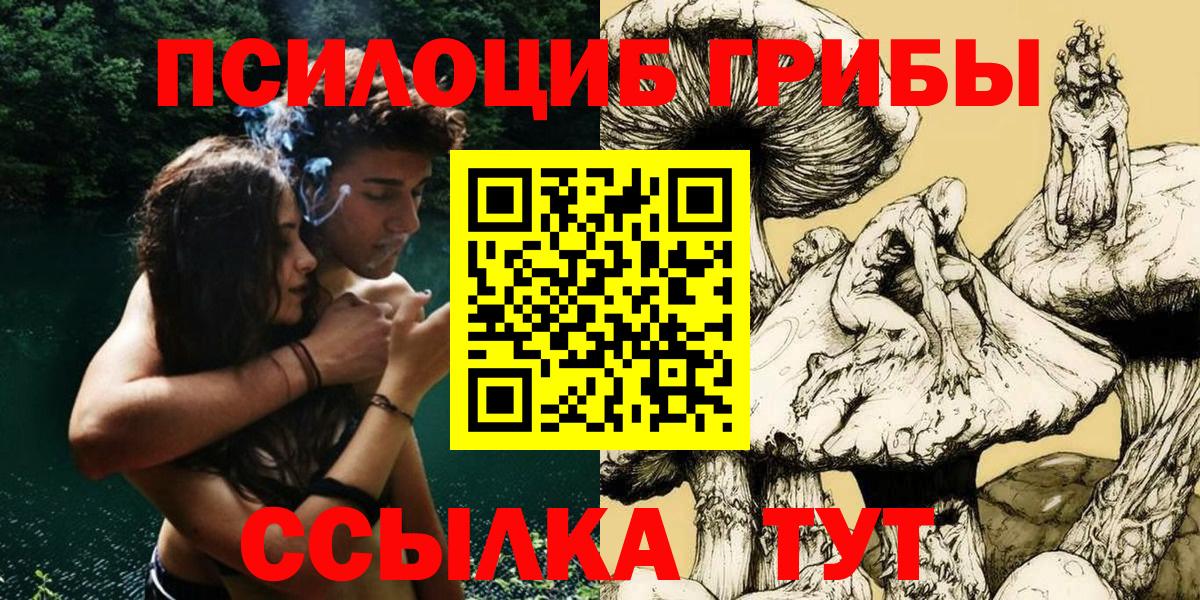 Галлюциногенные грибы Psilocybine cubensis Выборг